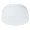 Настенно потолочный светильник Arte Lamp TABLET A7720PL-1WH