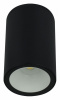 Уличный потолочный светильник Arte Lamp Torcular A1807PF-1BK