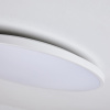 Светильник потолочный Lightstar Arco Eco 225720