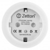 Розетка умная Zetton ZTSHSPS2S2 ZTSHSSPML16A1RU