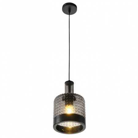 Подвесной светильник Edwin MR2474-1P