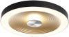 Потолочный светильник Quantum 7753/25L