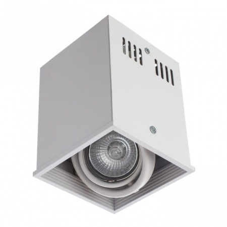 Светильник потолочный Arte Lamp A5942PL-1WH