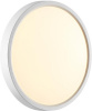 Настенно-потолочный светильник Alfa White 7659/18L