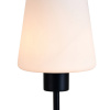 Настольная лампа Escada Clarity 120004/1T E27*60W Black ES0002707
