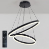Подвесной светильник LED LIGHT LED LAMPS 81298