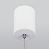 Подвесной светильник Elektrostandard DLS028 a047769