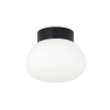 Настенно-потолочный светильник Munich DL18031G9Black 140