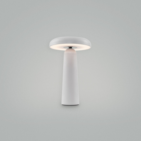 Настольная лампа Freya Mushroom FR6109TL-L4W