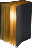 Декоративная лампа Lucide Extravaganza Livret 78596/01/30