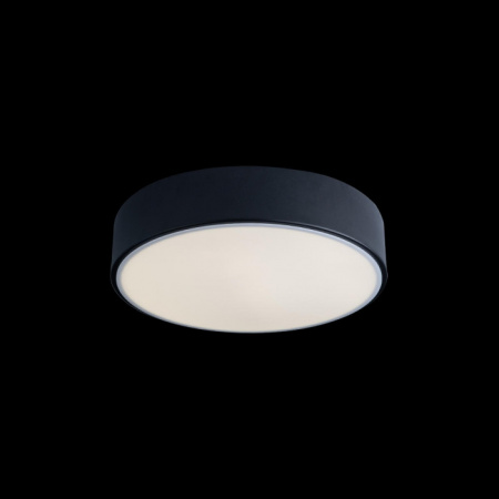 Потолочный светильник Axel Loft It 10002/12 Black