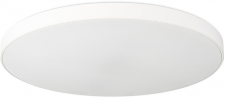 Потолочный светильник 1204 1204-LED48CL