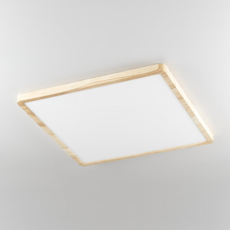 Светильник потолочный Citilux Бейсик CL738K502V