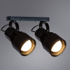 Спот Lyra A6252PL-2BK