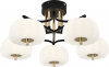 Потолочная люстра Halma 10301/5LED