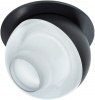 Накладной светильник Arte Lamp Deneb A7249PL-1BK