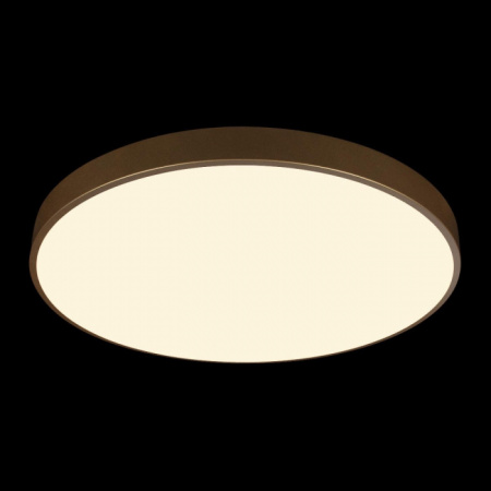 Потолочный светильник Flims Loft It 10228/B