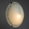 Настенно потолочный светильник Arte Lamp ANTICA A4220PL-1CC