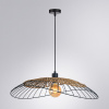 Светильник подвесной Arte Lamp Woodstock A7061SP-1BK