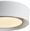Светильник потолочный Freya Cozy FR6170CL-L52BS