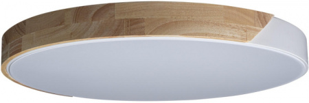Потолочный светильник Axel Loft It 10004/36 White