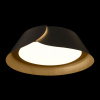 Потолочный светильник Lane 10370 Black