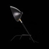 Настольная лампа ST Luce Spruzzo SL305.404.01