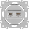 Розетка Arte Milano Am-202 202.44-1.silver