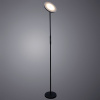 Торшер Sceptrum A1822PN-1BK