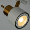 Спот Almach A1906PL-2WH