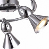 Спот Picchio A9229PL-3CC