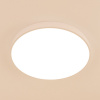 Светильник потолочный Citilux Купер CL724105G0