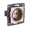 Розетка Aspekt REA-002GD