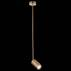 Светильник подвесной ST Luce Sormano SL1206.303.01