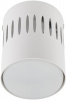Накладной светильник Fametto Sotto DLC-S619 GX53 WHITE