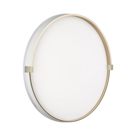 Настенно-потолочный светильник Olidi White 7646/ELN