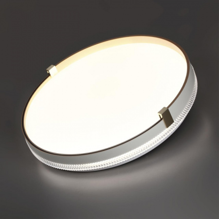 Настенно-потолочный светильник Olidi White 7646/DLN