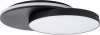 Потолочный светильник уличный SIDNEY LED W2058 Bl