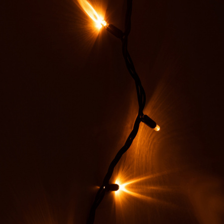 Гирлянда ERAPS-NZ1