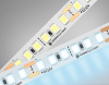 Светодиодная лента Illumination GS1303