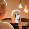 Лампочка светодиодная филаментная Smart Home 1250112