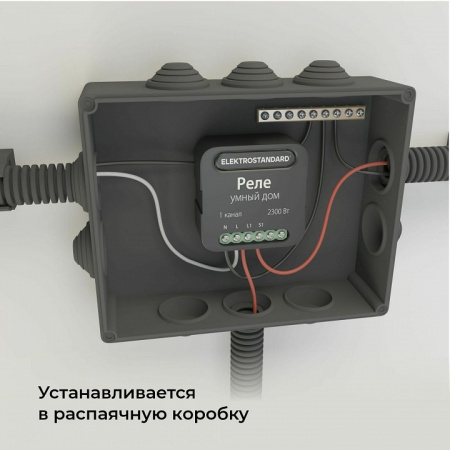 Конвертер Wi-Fi для смартфонов и планшетов Elektrostandard 76006 a059324