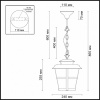 Подвесной светильник Odeon Light Aletti 4052/1