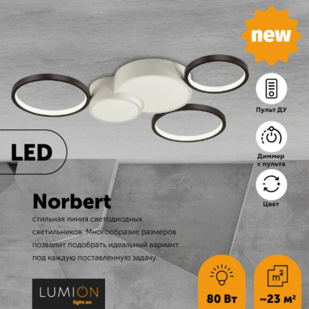 Потолочная люстра Norbert 5253/80CL