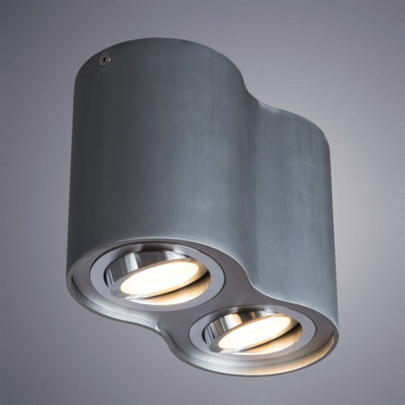 Накладной светильник Arte Lamp Falcon A5644PL-2SI