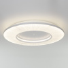 Потолочный светильник Kreis 101003 LED
