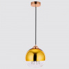 Подвесной светильник Ambrella Light TR TR3602
