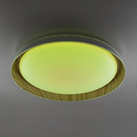 Накладной светильник Citilux MEGA CL752452G