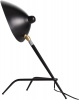 Настольная лампа ST Luce Spruzzo SL305.404.01