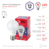 Лампочка светодиодная LED A60-12W-865-E27 R